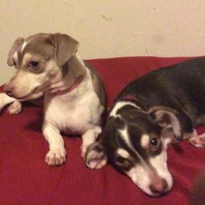 Meet your Posher, Ethan